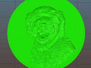 dog head coin - relief - 2020 3D Print Model