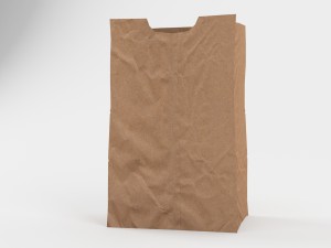 paper bag free 3D Model