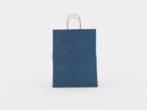 paper bags gral1 3Dモデル