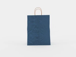 paper bags gral1 3D Model