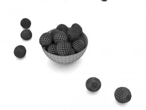 blueberry bowl free 3D Model