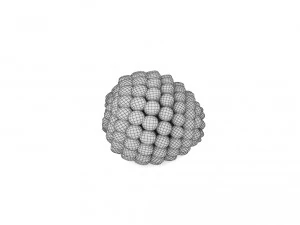 blueberry bowl free 3D Model