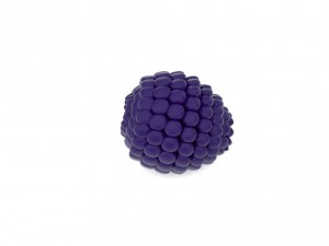 blueberry bowl free Modello 3D