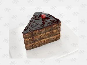 slice of chocolate cake free 3D Model