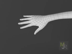 female toon motion pack 3D Model