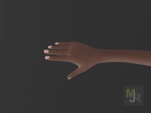 female toon motion pack 2 3D Model