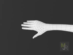 female toon motion pack 2 3D Model