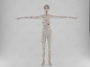male zombie1 animations pack 3D Model