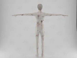 male zombie1 animations pack 3D Model