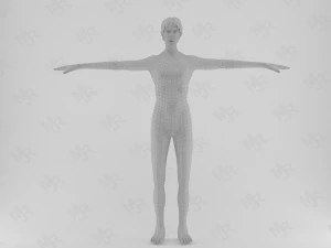 male zombie1 animations pack 3D Model
