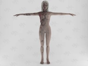 female zombie1 animations pack 3D Model
