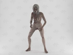 female zombie1 animations pack 3D Model