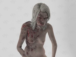 female zombie1 animations pack 3D Model