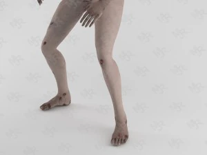 female zombie1 animations pack 3D Model