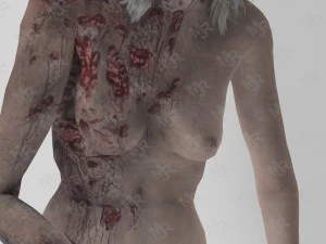 female zombie1 animations pack 3D Model