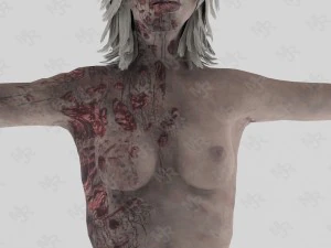 female zombie1 animations pack 3D Model
