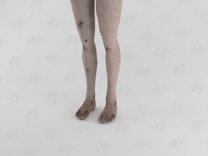 female zombie1 animations pack 3D Model