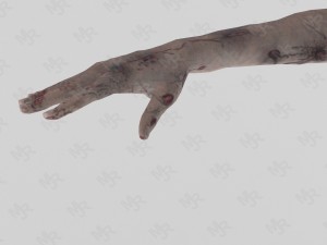 female zombie1 animations pack Modelo 3D