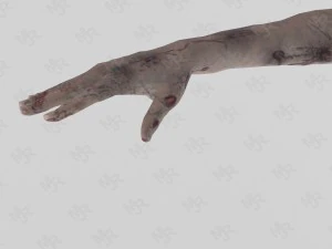 female zombie1 animations pack 3D Model