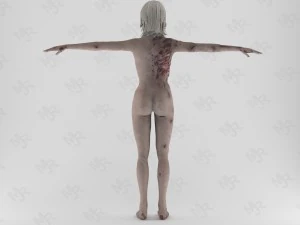 female zombie1 animations pack 3D Model