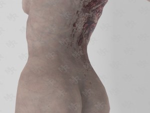 female zombie1 animations pack Modelo 3D