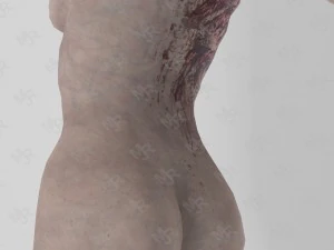 female zombie1 animations pack 3D Model