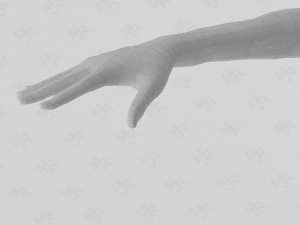 female zombie1 animations pack 3D Model