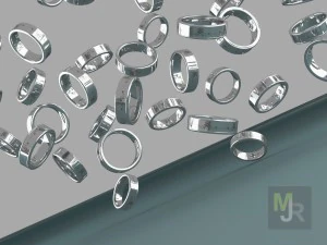 ring1 3D Model