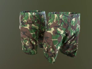 camouflage pants 1 3D Model