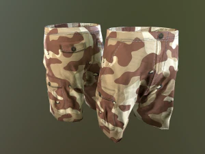 camouflage pants 1 3D Model