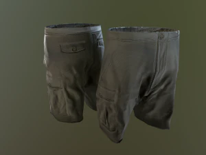camouflage pants 1 3D Model