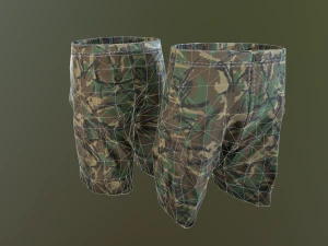camouflage pants 1 3D Model