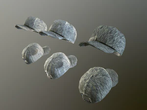 caps pack 1 3D Model