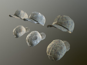 caps pack 1 3D मॉडल