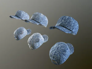 caps pack 1 3D Model