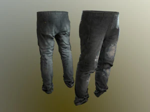 pants loose fit pack 3D Model