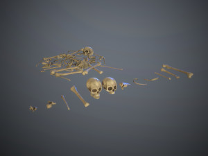 skulls1 normal bones 3D Модель