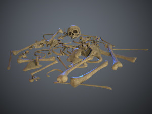 skulls1 normal bones 3D Модель