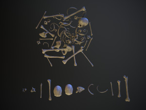 skulls1 normal bones 3D Модель