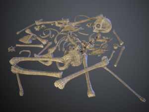 skulls1 normal bones 3D Модель