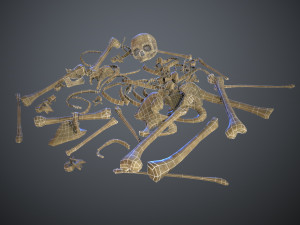 skulls1 normal bones 3D Модель