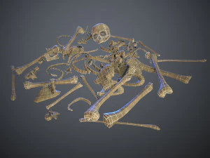 skulls1 normal bones 3D Model