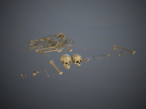 skulls1 old bones Modèle 3D