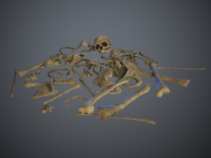 skulls1 old bones Modèle 3D
