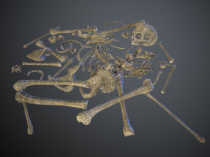 skulls1 old bones Modèle 3D