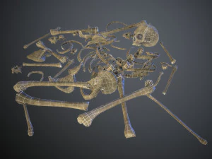 skulls1 old bones 3D Model