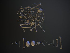 skulls1 old bones Modèle 3D