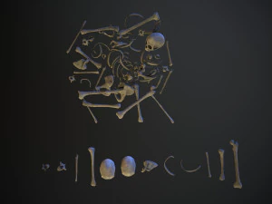 skulls1 old bones 3D Model