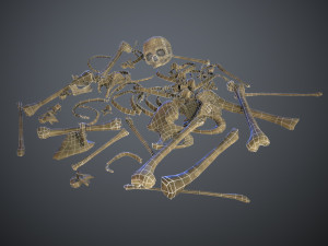 skulls1 old bones Modèle 3D