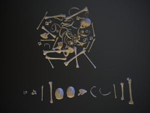 skulls1 stylized bones 3D Модель